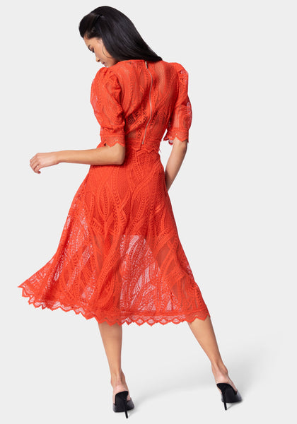Corded Lace Full Skirt bebe