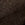 Coffee Bean Swatch