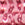 Mauvewood Swatch