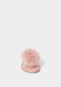 Blush