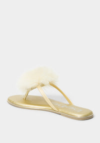 Dx Gold