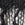 Black/White Alyssum Swatch