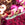 Multi Colors Swatch