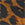 TORTOISE ANIMAL Swatch