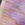 Multi Animal Print Swatch
