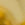 Goldtone Swatch