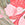 Pink Palm Swatch