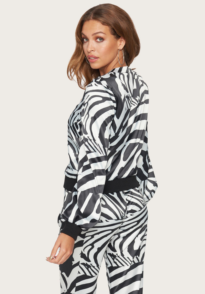 Abstract Zebra