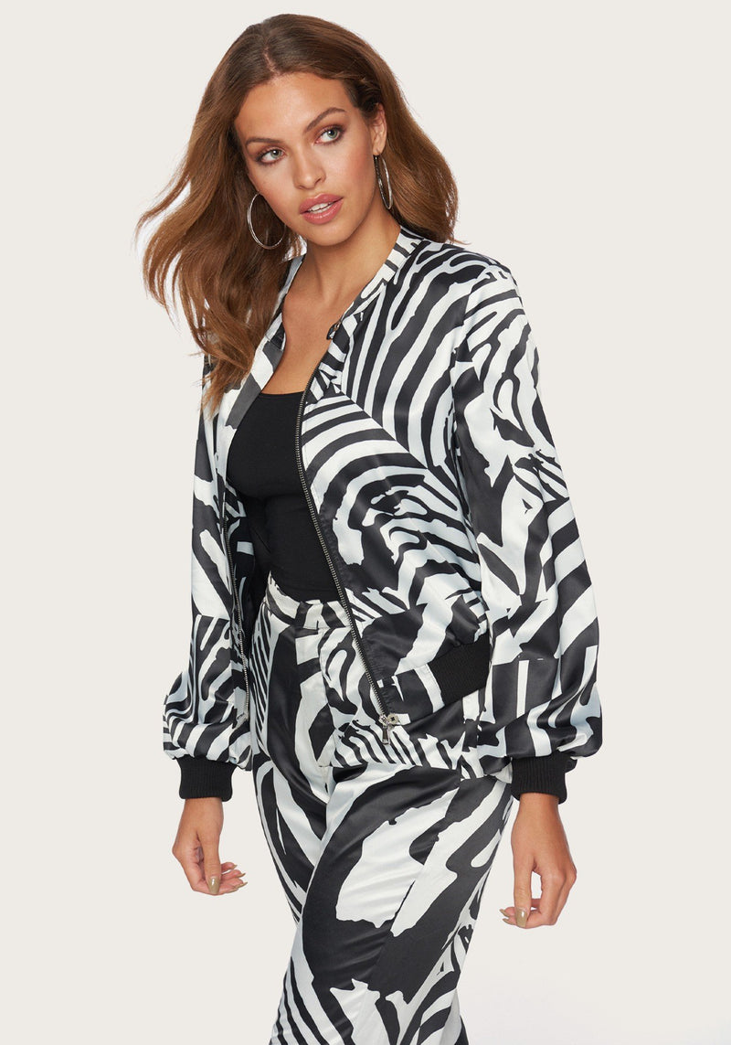 Abstract Zebra