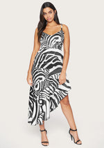Abstract Zebra
