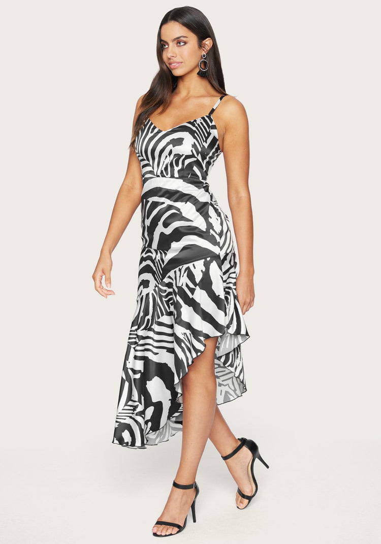 Abstract Zebra