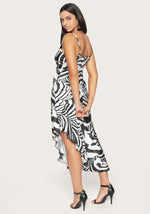 Abstract Zebra