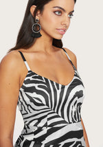 Abstract Zebra