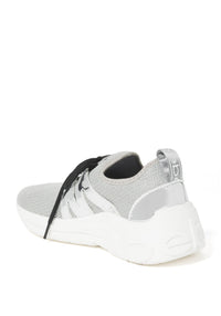 Grey/Silver